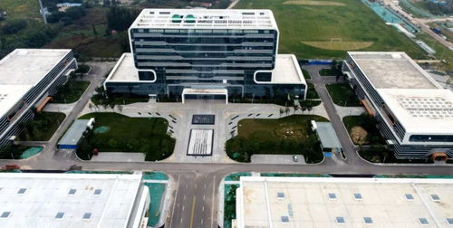 爭分奪秒趕工期 經濟區重點項目建設火熱進行中